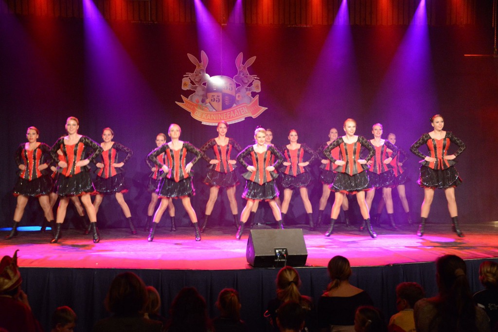 ../Images/Dansmarieke festival 2015 245.jpg